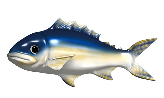 2006fish